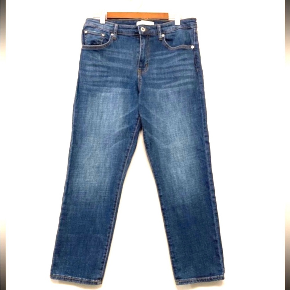 Anthropologie‎ Ella Moss High Waist Straight Leg Jeans Stretchy Women’s 10/30